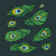 Peacock feathers set