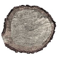 Tree x-section N2