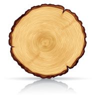Wooden cross section N2