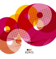 Vector light geometric compositions N4