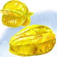 star fruit - carambola isolated