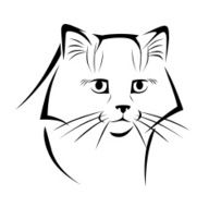 stylized cat 3