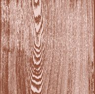 Oak wood grain