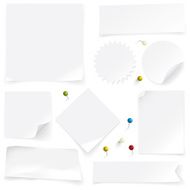 White labels