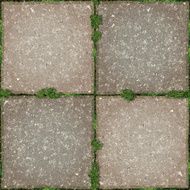 seamless garden tiles with moss background