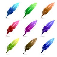 Colorful feathers N3