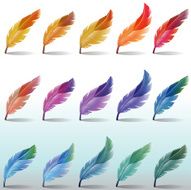Feathers Colour
