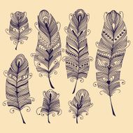 Feathers N65