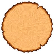 Wooden cross section N3
