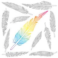 Set Multiple Feathers