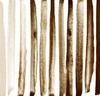 Brush strokes N31