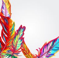 Bright feathers N2