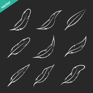 Vector group of feather N4