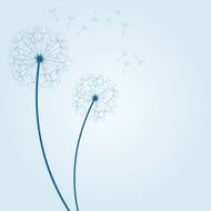 vector dandelion background