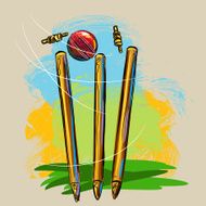 Cricket Wickets and Ball