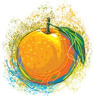 Colorful and Tasty Orange