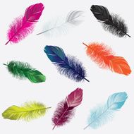 Colorful feathers N4