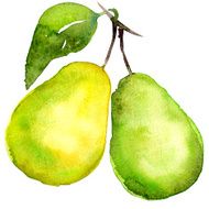 group of tasty pears