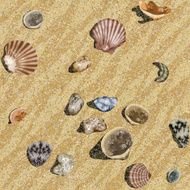 seamless beach background