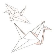 Origami Crane N6