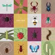 Insect world