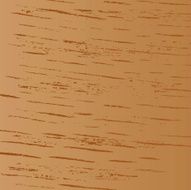 Wood Grain Illustration