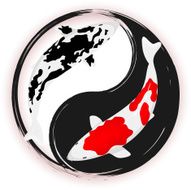 Koi Carp in Tai Chi