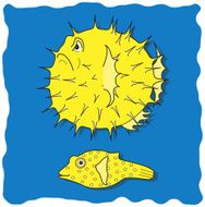 big blowfish