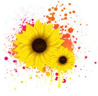 Two sunflowers on grunge backround N2