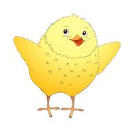 Cute yellow cartoon baby chicken