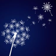 Christmas background - Snow dandelion