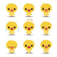 Cute Chick N5
