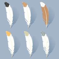 Feathers N67