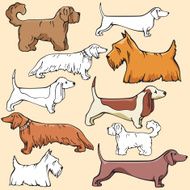 Pet Illustrations XI Dogs (Vector) N2