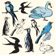 Bird Illustrations VI (Vector)