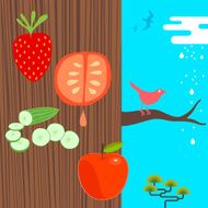 randomness fruit and birds cucumber