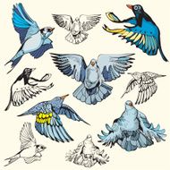 Bird Illustrations XVIII Doves (Vector)
