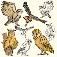 Bird Illustrations II Owls (Vector)