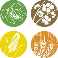 Soybeans Cotton Corn and Wheat