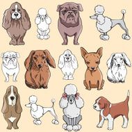 Pet Illustrations XIV Dogs (Vector) N2