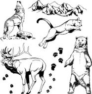 Wildlife and Nature Design Elements