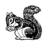Squirrel Holding Nut N4