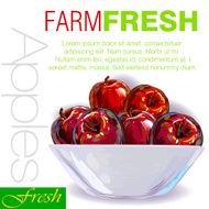 Fresh Apples N2