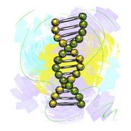 DNA Structure