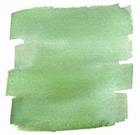 Green watercolor background N28