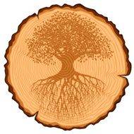 Wooden Cross Section and Old Tree with Roots