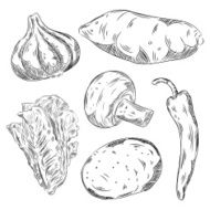 Detailed Drawings of Vegetables N2