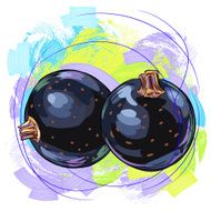 Tasty Blackcurrant