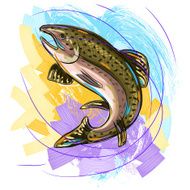 Salmon Fish N5