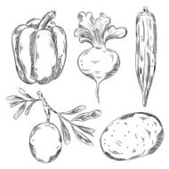 Detailed Drawings of Vegetables N3